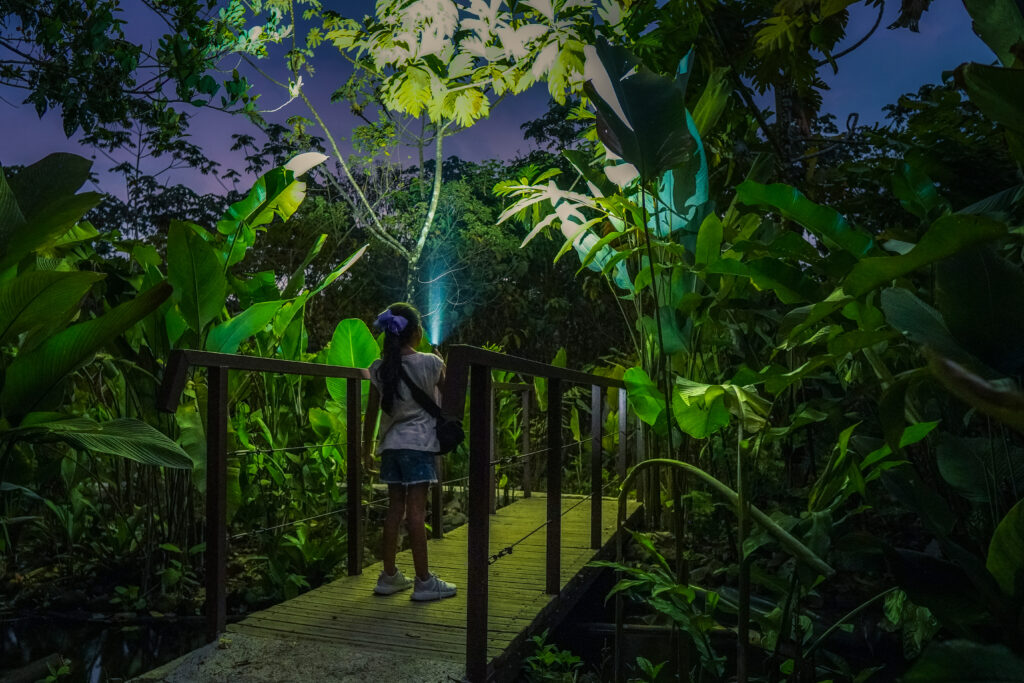 Nigth hike la fortuna