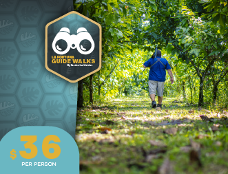 Guide Walks in la Fortuna
