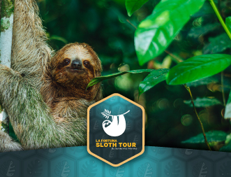 Sloth-Tour-La-Fortuna