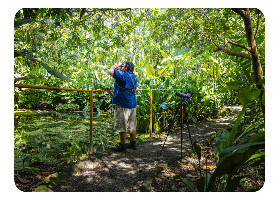 Sloth Tour La Fortuna - Daily Tours