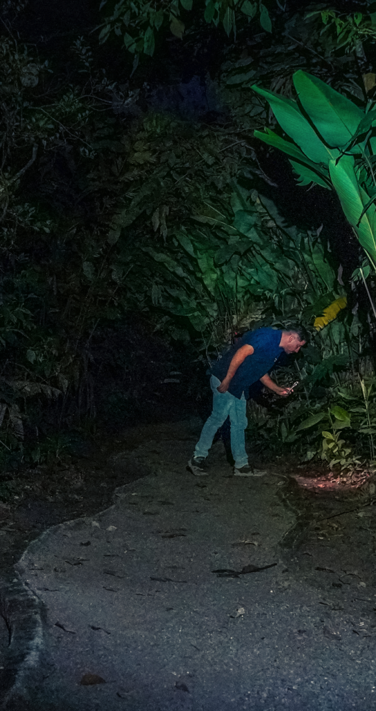 Night walk in Arenal