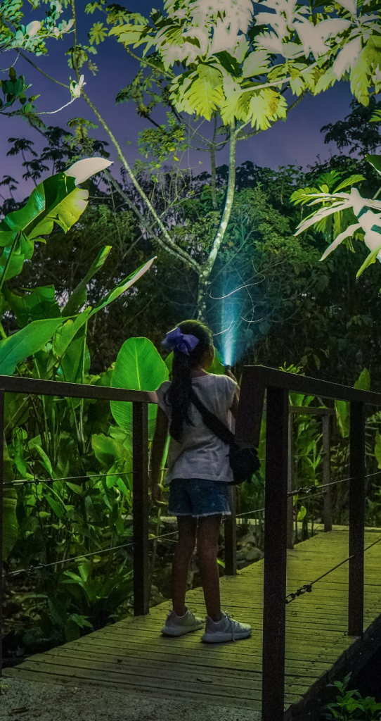 Night walk in La Fortuna