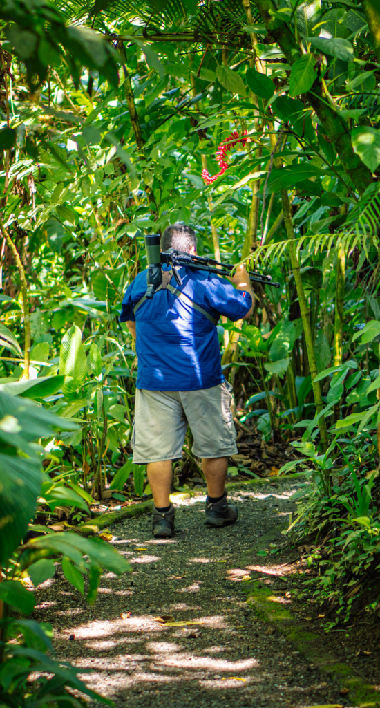 Sloth Tour in La Fortuna