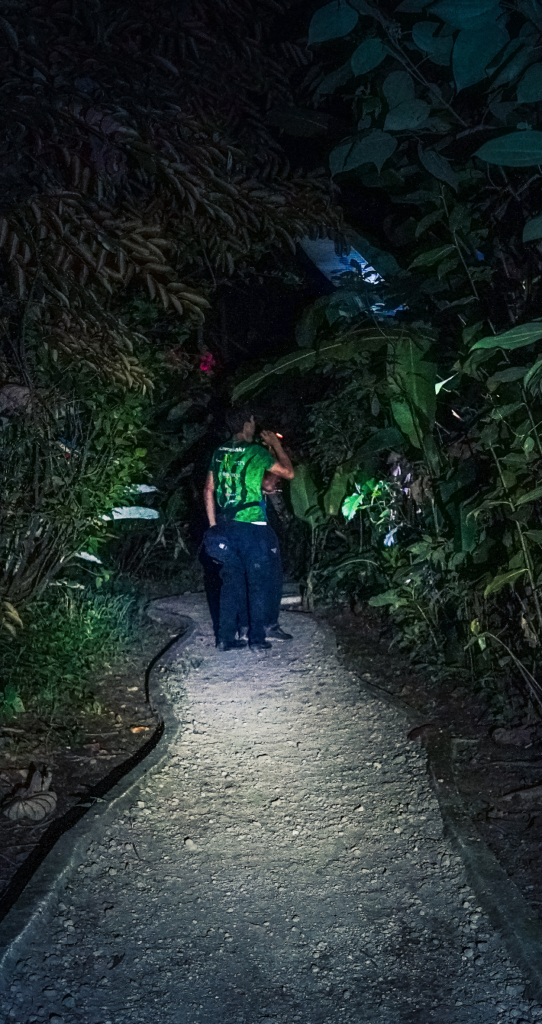 best Night walk in Arenal