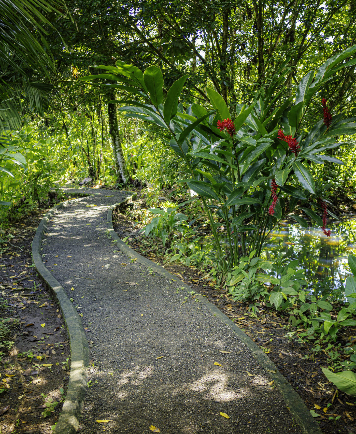 Dry Season in Arenal