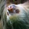 La Fortuna Family-Friendly Activities 2024: Your Guide to Unforgettable Adventures