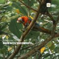 Best Tours in Arenal 2025: Unforgettable Experiences in Costa Rica