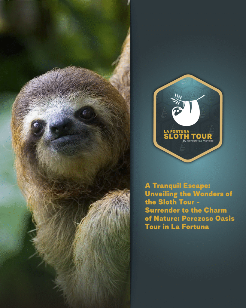 best-sloth-tour-la-fortuna