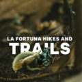 Best Night Hike in Arenal 2026: Your Complete Guide to an Unforgettable Jungle Adventure
