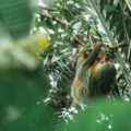 How to Choose the Best Tours in La Fortuna Costa Rica for Your Vacation