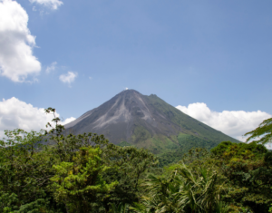 Before Booking a La Fortuna Sloth Tour, Know These 9 Wildlife-Spotting Tips