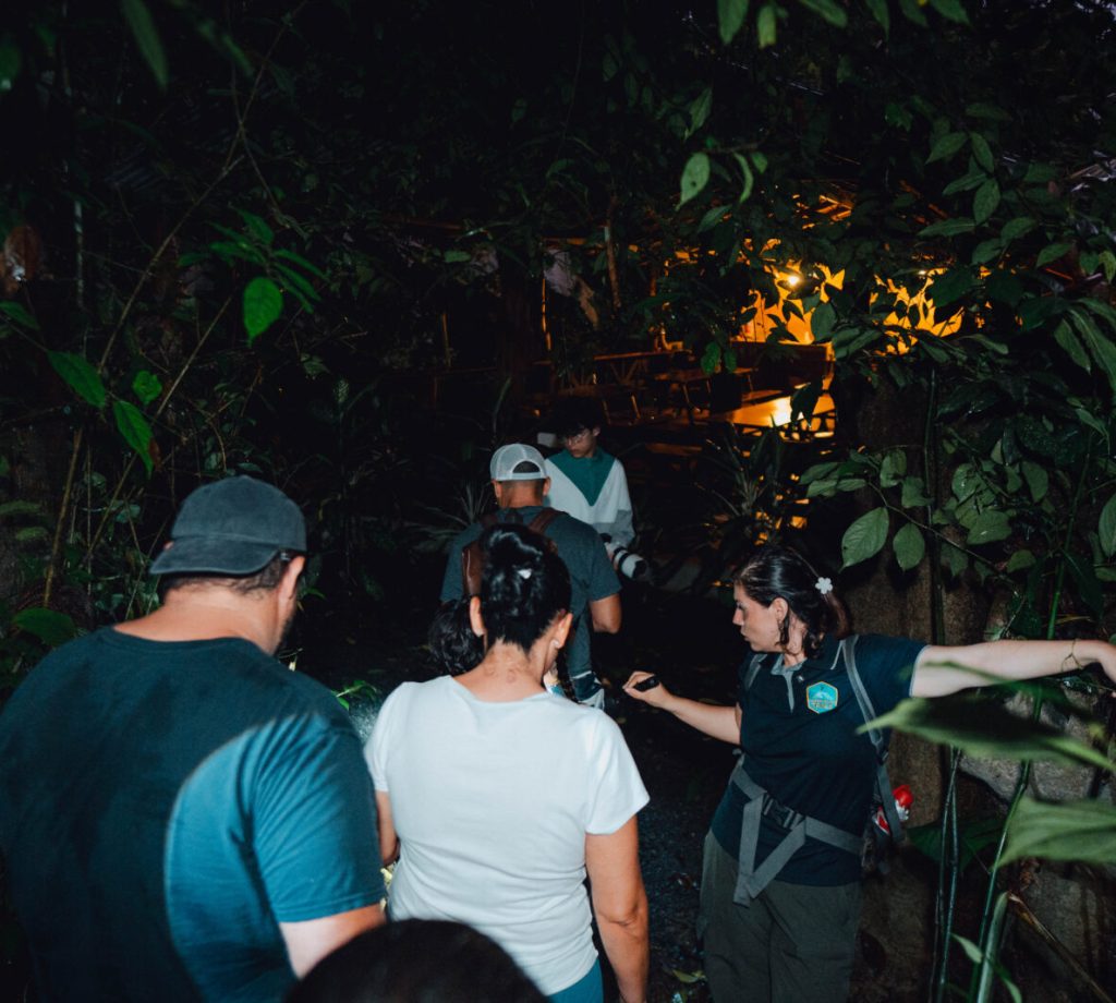 Night Hike La Fortuna